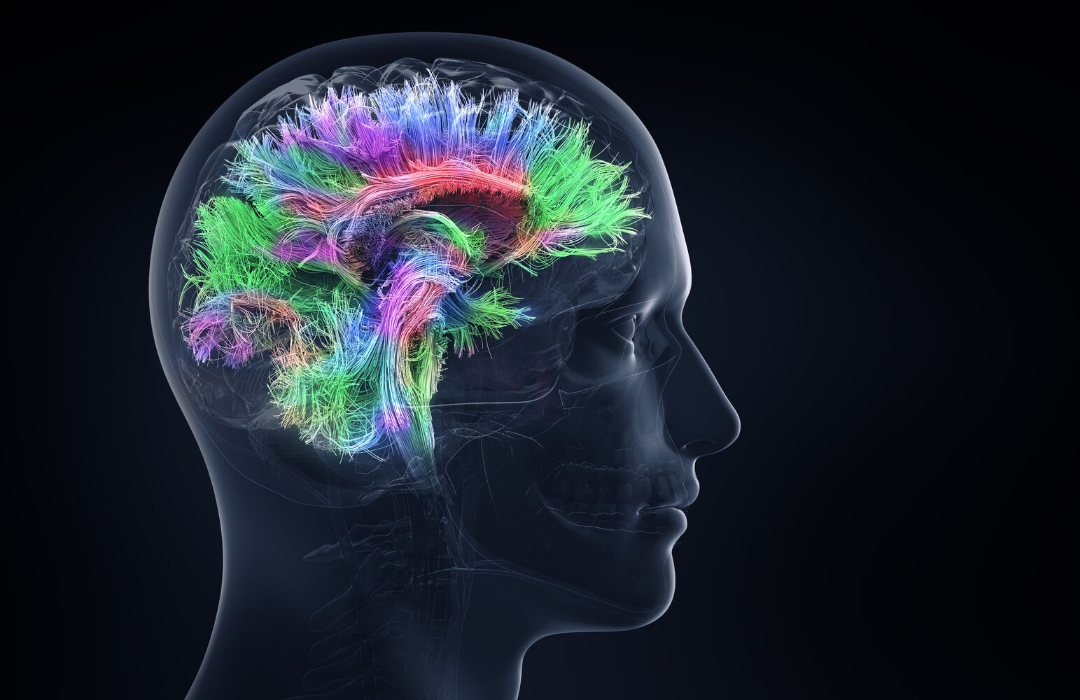 Psychiatry (Pediatric to Adult)